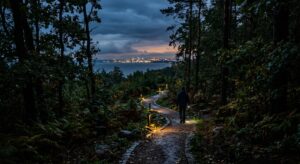 A cinematic, moody evening view of a hidden, illuminated path through a lush coastal forest leading